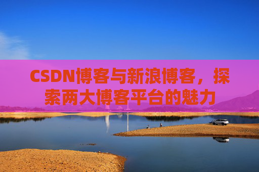 CSDN博客与新浪博客，探索两大博客平台的魅力